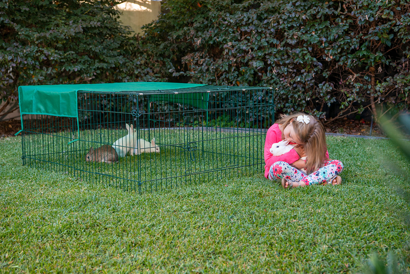 Portable Animal Enclosure - Image 2